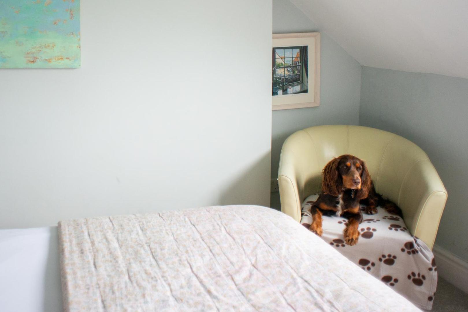 The Mount B&B พอร์ทินสเกล ภายนอก รูปภาพ